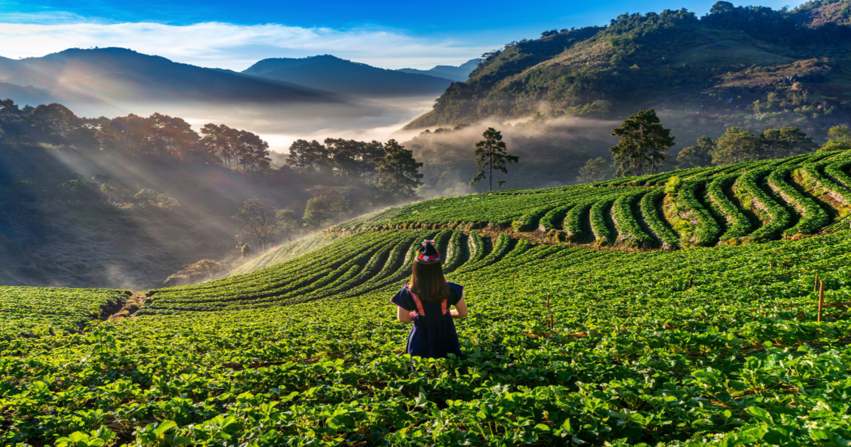 Tea Capital of India