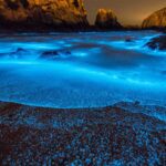 Glowing Beaches