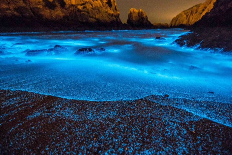 Glowing Beaches