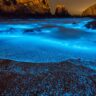 Glowing Beaches