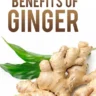 BENEFITS OF GINGER