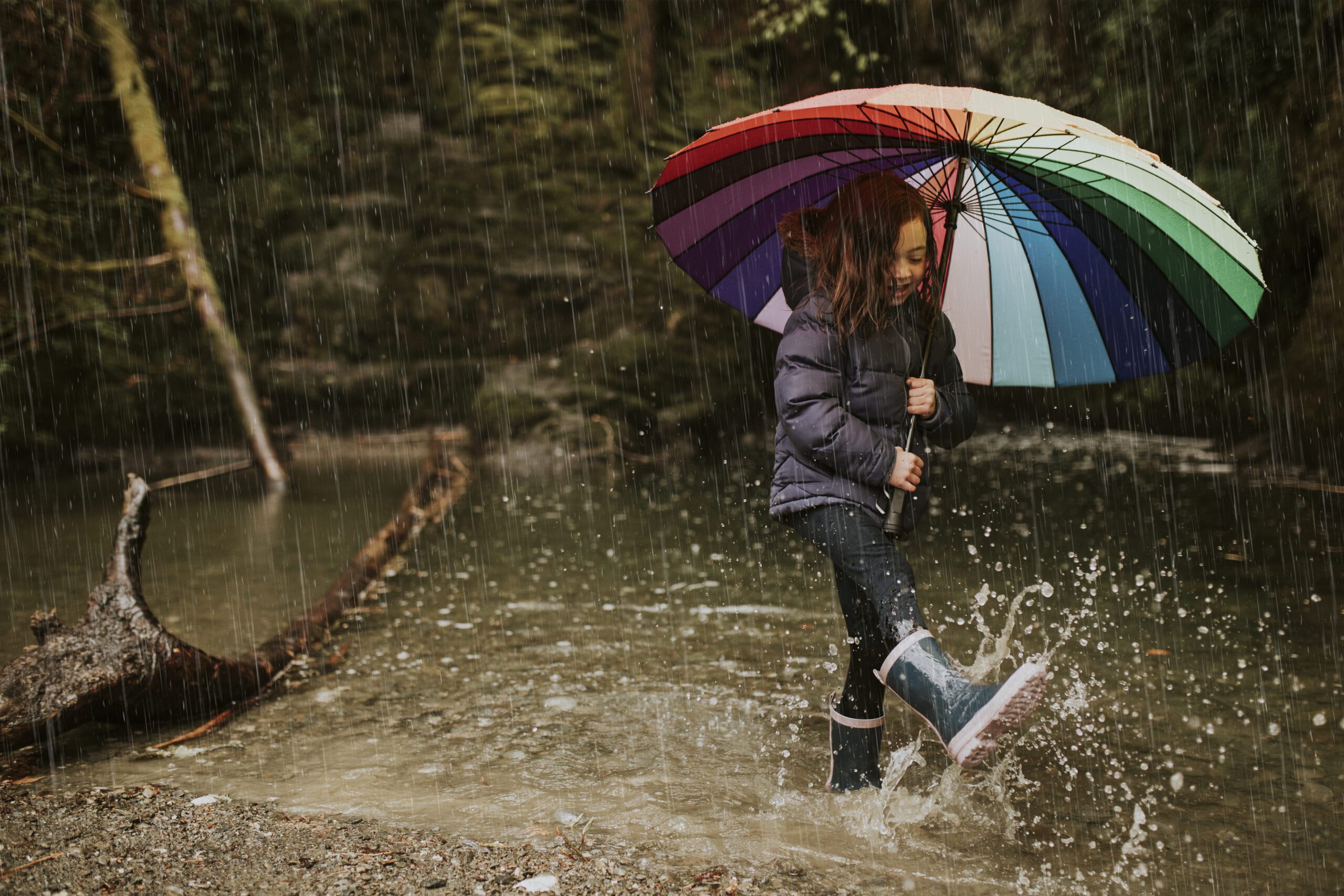 MONSOON IN INDIA